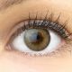 Farbige Braune Premium Kontaktlinsen Padua Beige von GLAMLENS