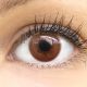 Farbige Braune Premium Kontaktlinsen Limone Brown von GLAMLENS